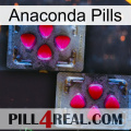 Anaconda Pills 15